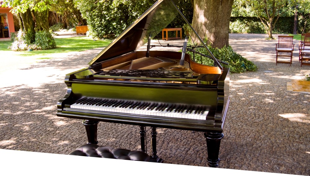 Gestellungsservice Flügel Klavier Parsberg